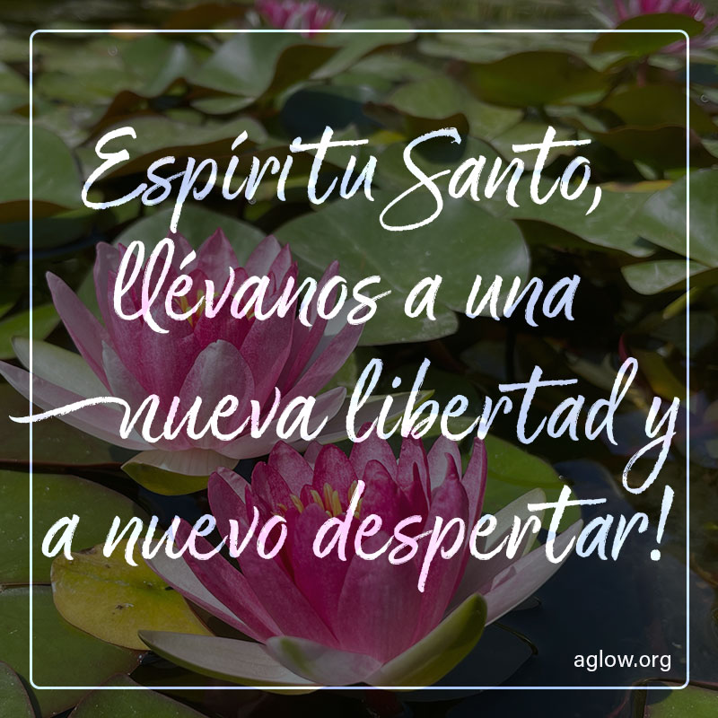 Despertar